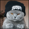 Картинка bookcat Картинка bookcat